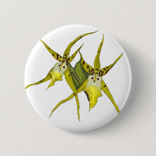 Orchideen-Blumen Button