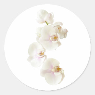 Orchideen-Blumen Runder Aufkleber