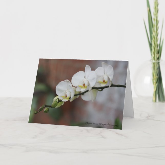 Orchideen-Blüte Karte (Vorderseite)