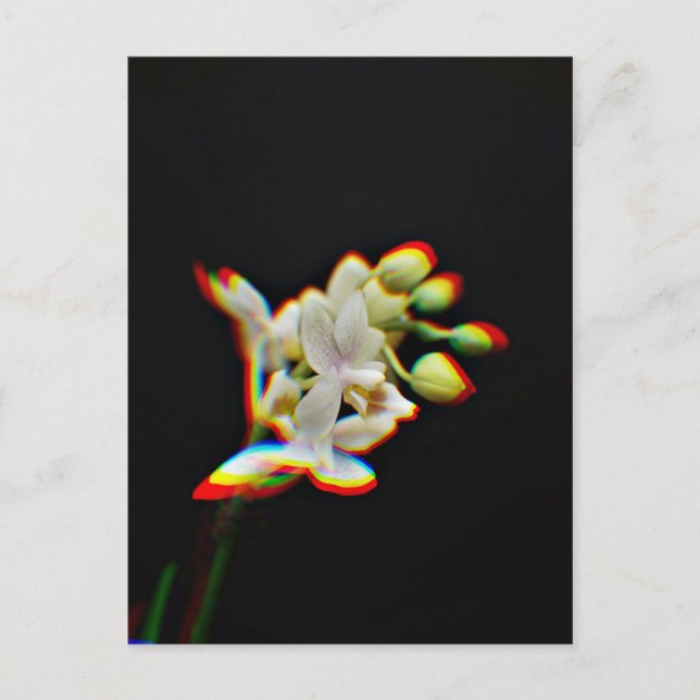 Orchideen-Blüten-Gloweffekt Postkarte (Vorderseite)