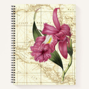 Orchideen Botanical Explorer's Notizbuch