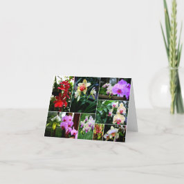 Orchideen Dankeskarte