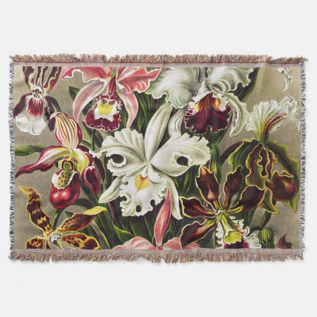 Orchideen Denusblumen Ernst Haeckel Decke (Vorderseite)