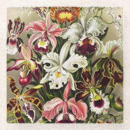 Orchideen Denusblumen Ernst Haeckel Glasuntersetzer