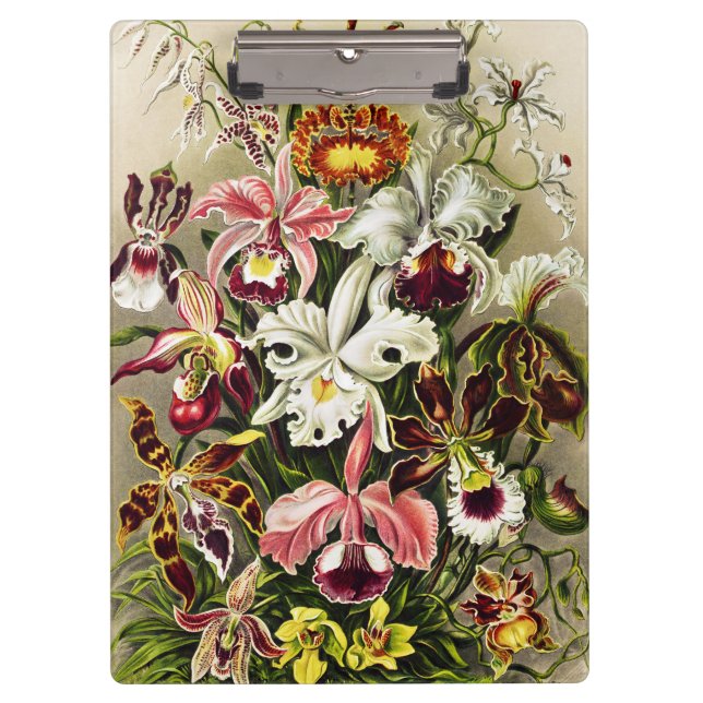 Orchideen Denusblumen Ernst Haeckel Klemmbrett (Vorderseite)