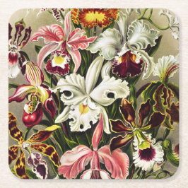 Orchideen Denusblumen Ernst Haeckel Rechteckiger Pappuntersetzer