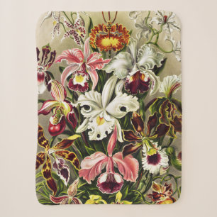 Orchideen Denusblumen Ernst Haeckel Sherpadecke