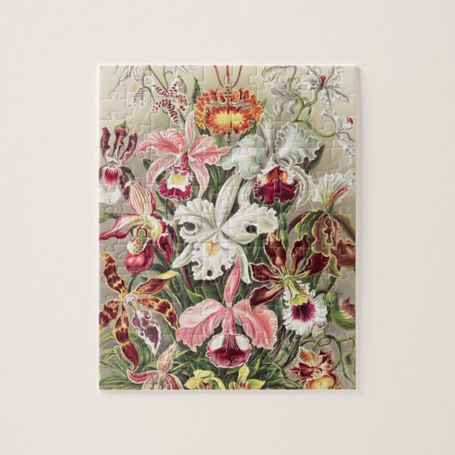 Orchideen Denusblumen von Ernst Haeckel (Vertikal)