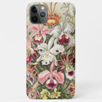Orchideen Denusblumen von Ernst Haeckel