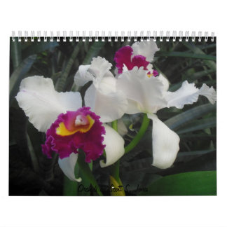 Orchideen durch Scott S. Jones Kalender