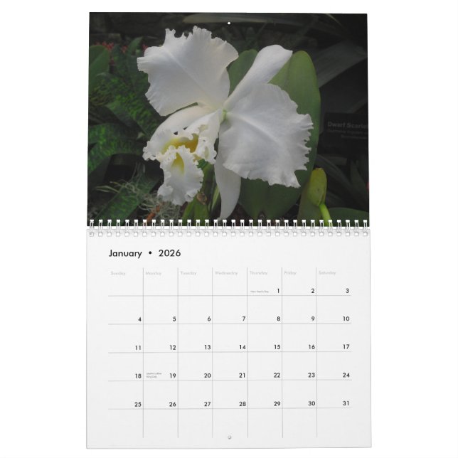 Orchideen durch Scott S. Jones Kalender (Jan 2026)