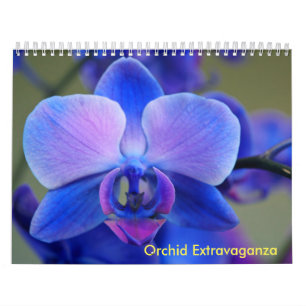 Orchideen-Extravaganz Kalender