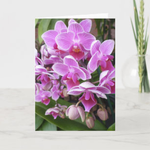 Orchideen Feiertagskarte