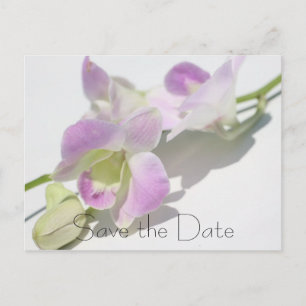 Orchideen-Foto-Save the Date Postkarte