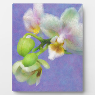 Orchideen Fotoplatte