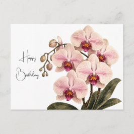 Orchideen-Geburtstagskarte Postkarte