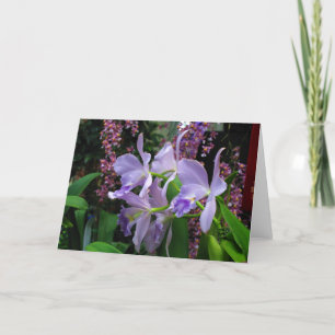 Orchideen-Gruß-Karte Karte
