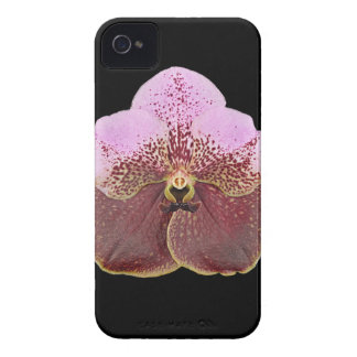 Orchideen-Handy-Fall, iPhone 4 iPhone 4 Cover