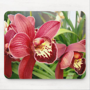 Orchideen-Herausragende Mousepad