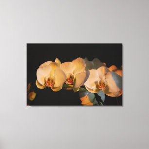 Orchideen im Sonnenuntergang Leinwanddruck