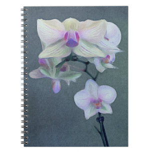 Orchideen in den Schatten von Lila Notizblock