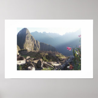 Orchideen in Machu Picchu Poster