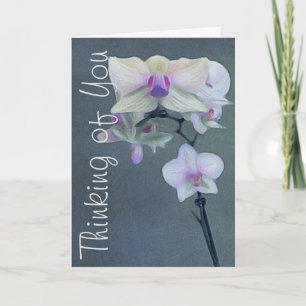 Orchideen in Schattierungen des Lila Denkens, die  Karte
