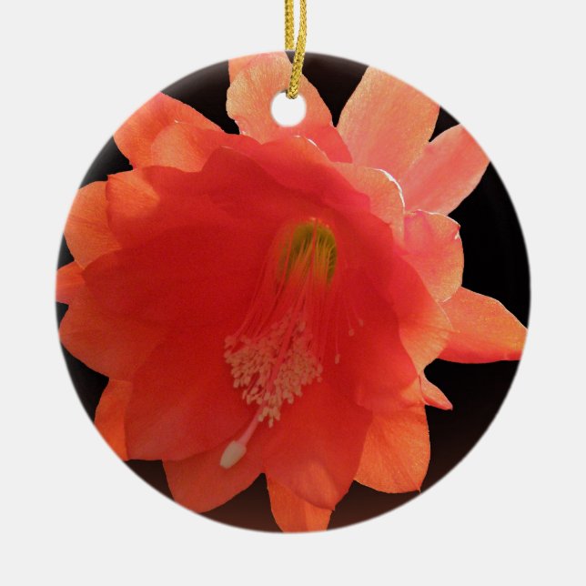 Orchideen-Kaktus - Epiphyllum Ackermannii - Blüte Keramikornament (Vorne)