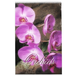 Orchideen Kalender