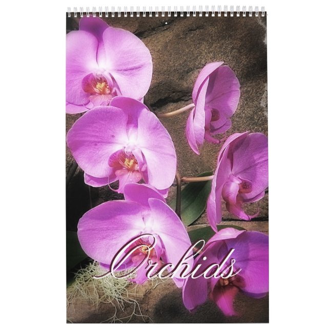 Orchideen Kalender (Titelbild)
