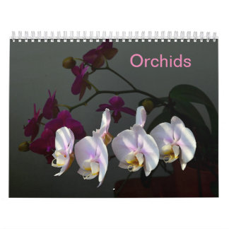 Orchideen Kalender