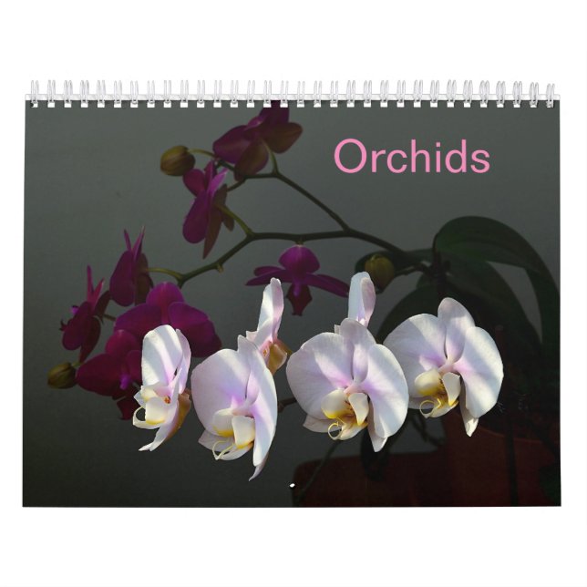 Orchideen Kalender (Titelbild)