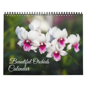 Orchideen-Kalender in mittlerer Größe Kalender
