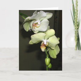 Orchideen Karte