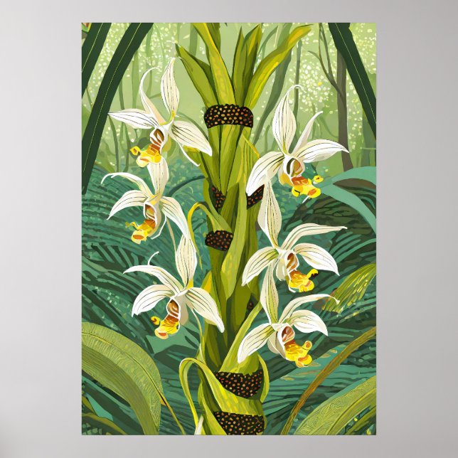 Orchideen Kunst V24 Poster (Vorne)