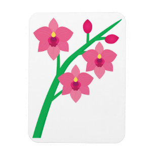 Orchideen Magnet
