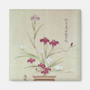 Orchideen Magnet
