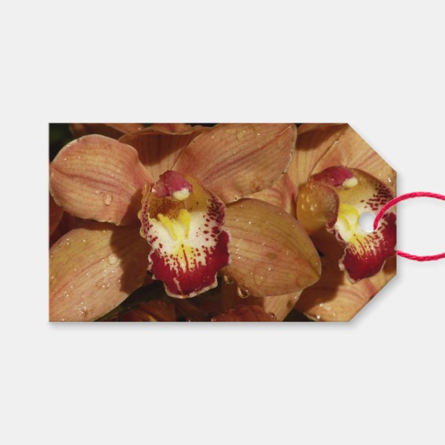 Orchideen mit Raindrops floral Geschenkanhänger (Vorderseite (Horizontal))