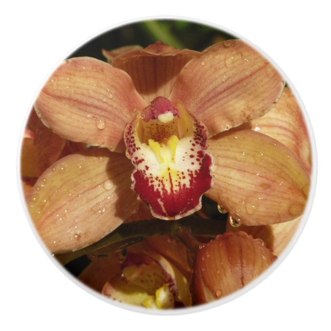 Orchideen mit Raindrops floral Keramikknauf (Vorderseite)