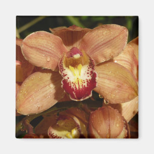 Orchideen mit Raindrops floral Magnet