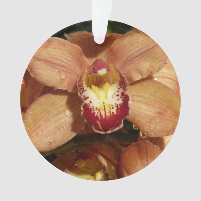 Orchideen mit Raindrops floral Ornament (Vorderseite)