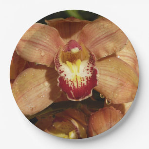 Orchideen mit Raindrops floral Pappteller