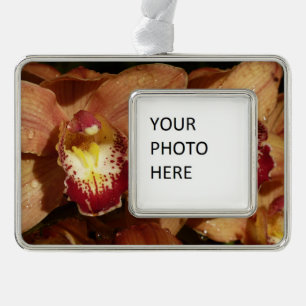 Orchideen mit Raindrops floral Rahmen-Ornament Silber