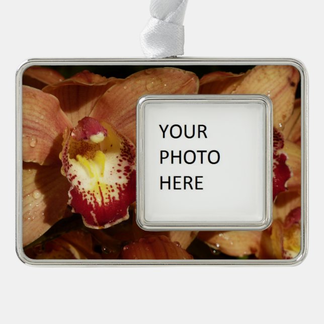 Orchideen mit Raindrops floral Rahmen-Ornament Silber (Vorderseite)
