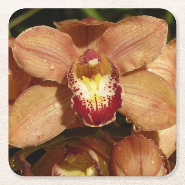 Orchideen mit Raindrops floral Rechteckiger Pappuntersetzer (Vorderseite)
