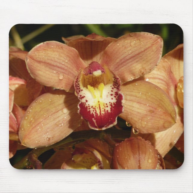 Orchideen mit Raindrops Mousepad (Vorne)