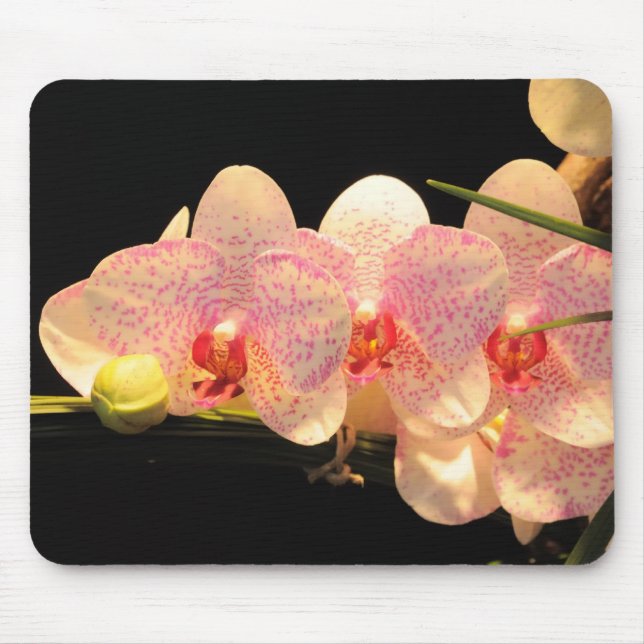 Orchideen Mousepad (Vorne)