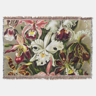 Orchideen, Orchideae Denusblumen Ernst Haeckel Decke
