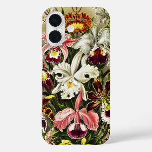 Orchideen, Orchideae Denusblumen Ernst Haeckel iPhone 16 Hülle