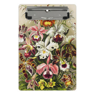 Orchideen, Orchideae Denusblumen Ernst Haeckel Mini Klemmbrett